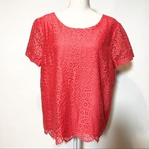 J. Crew Scallop Lace Top Size 14